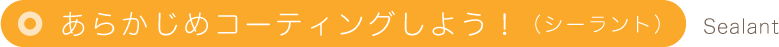 あらかじめコーティングしよう！（シーラント）