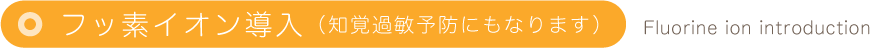 フッ素イオン導入（知覚過敏予防にもなります）